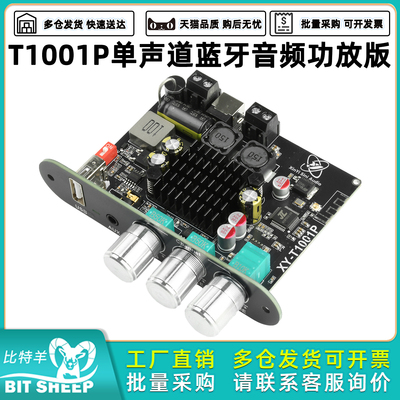 TWS蓝牙数字音频功放板