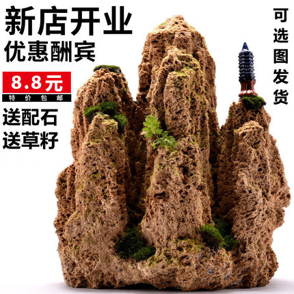 吸水石假山盆景原石头上水石微景观造景奇石观赏石搭配装饰小摆件