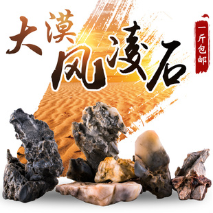 天然小石头奇石鱼缸造景石菖蒲假山微景观摆件配景石 戈壁风凌石