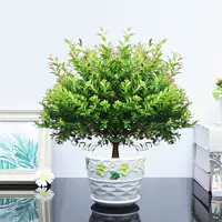 Пять -летняя свай чинан+керамический бассейн и посадка в горшок