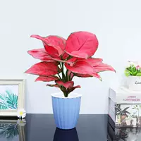 Geelyhong [Blue Pumpkin Water Basin], включая бассейн