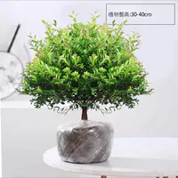 Пять -летние свайные груды в оригинальной почвейской грузы (исключая горшки) и посадка горшка с горшками