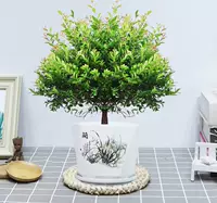 Пять -летящая куча Чинан+Ланхуа Керамический бассейн и посадка горшка с горшками