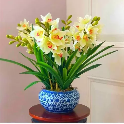 Новый продукт орхидея шариковой горшок с холодным и устойчивым к тепло.