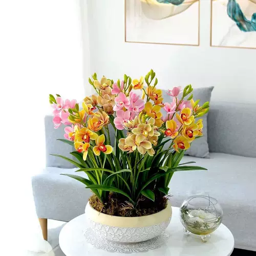 Новый продукт орхидея шариковой горшок с холодным и устойчивым к тепло.