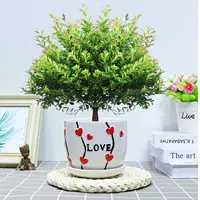 Пять -летняя свай Чинцы+Керамический бассейн в форме сердца и посадка в горшок