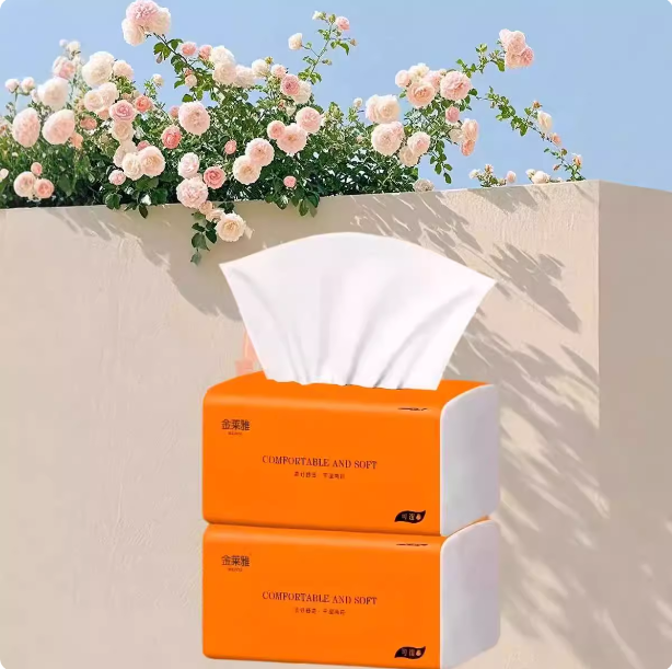 金莱雅加厚木浆抽纸整箱大包