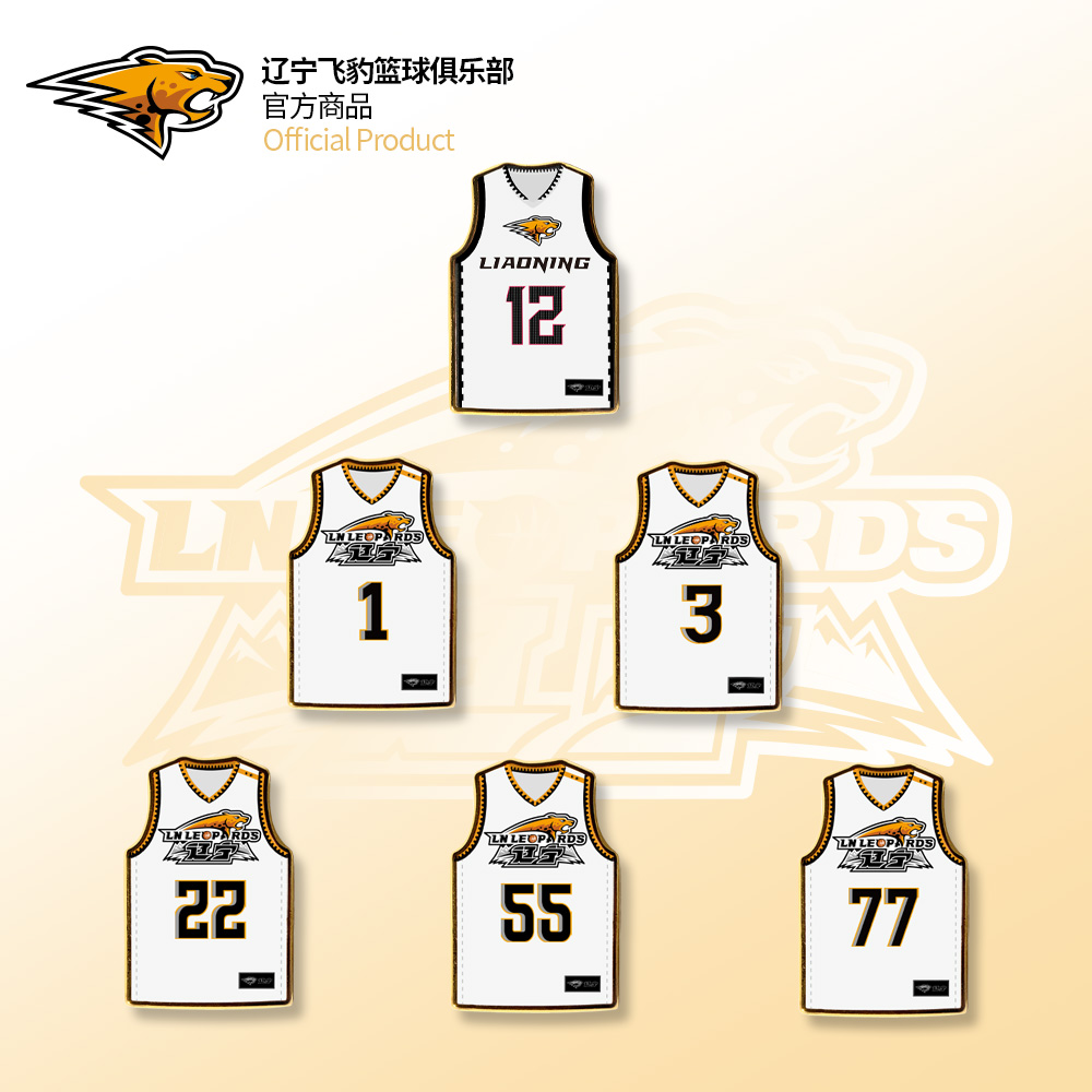 辽宁飞豹徽章盲盒收藏胸针饰品