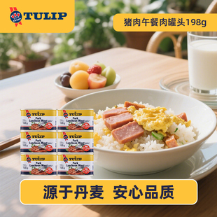 丹麦原装 郁金香进口猪肉午餐肉罐头198g 减盐 原味 进口 6罐