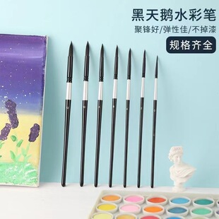黑天鹅水彩水粉画笔尼龙毛学生圆头尖头软毛油画笔手绘勾线笔套装