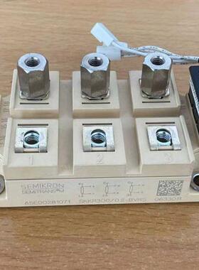 议价SKKR300/0.2变频器A5E00281071检测电阻SKKR400/0.2-BVRS