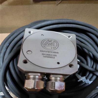 议价MARPOSS 马波斯 DITTEL 发射器39199631适用