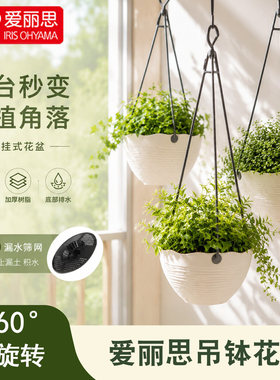 爱丽思壁挂树脂吊兰盆