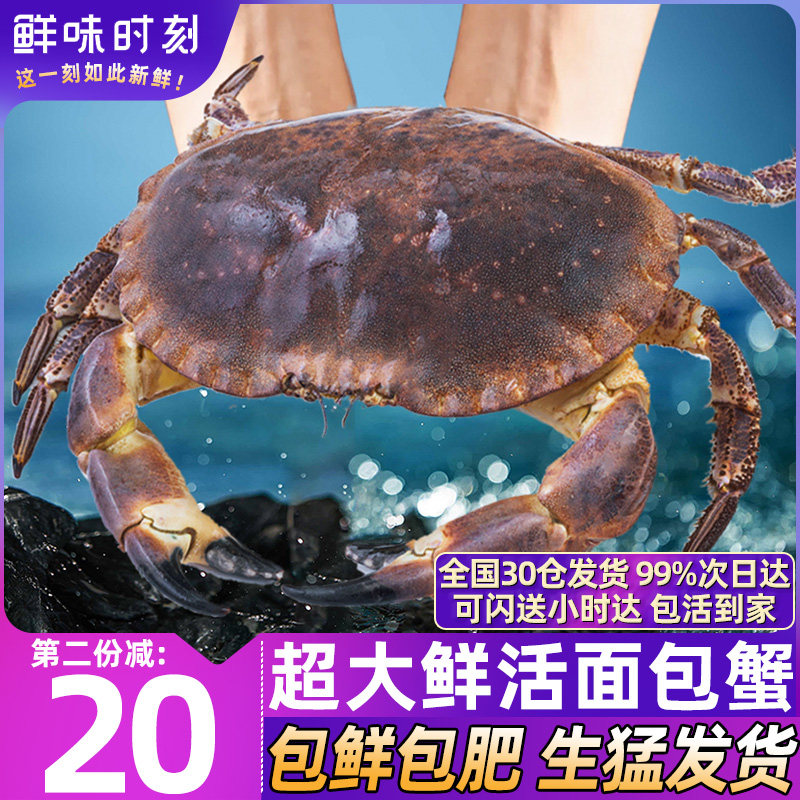 【鲜活发货】面包蟹鲜活海鲜水产大螃蟹帝王蟹黄金蟹新鲜珍宝蟹