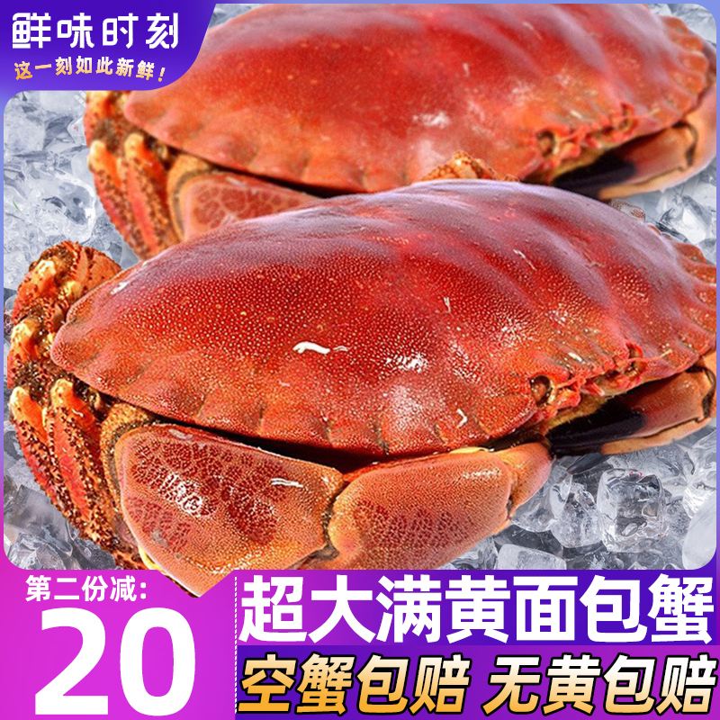 特大满黄面包蟹鲜活熟冻