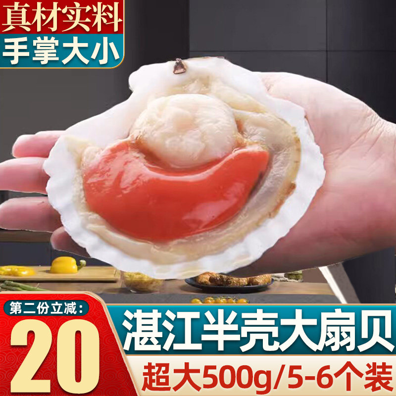 蒜蓉粉丝蒸大扇贝冷冻新鲜超大半壳扇贝500g5-7个海鲜水产烧烤用