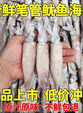 鲜活速冻笔管鱼个头大均匀鲜度好