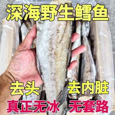 新鲜明太鱼鳕鱼冷冻深海野生狭鳕鱼海鱼整条棒棒鱼宝宝辅食无头鱼