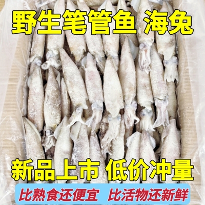 新鲜冷冻笔管鱼鲜度好个头大均匀