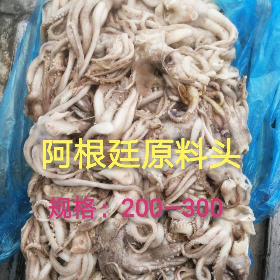 鱿鱼头原料阿根廷鱿鱼头须编织袋装板冻原料鱿鱼须烧烤穿串铁板