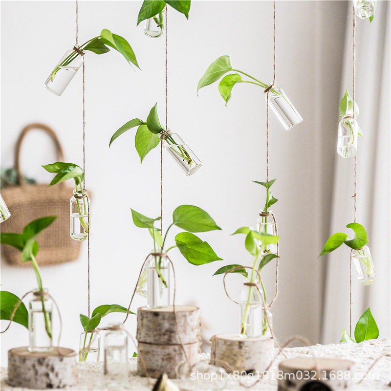 水培植物玻璃瓶花瓶悬挂壁挂吊挂绿植式小绿萝挂瓶挂墙装饰墙上