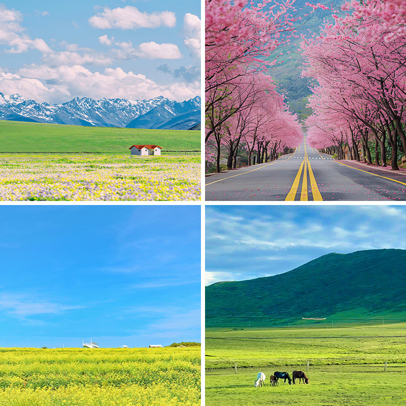 草原风景蓝天白云直播背景布3d立体室内加厚场景布置挂布快手抖音短