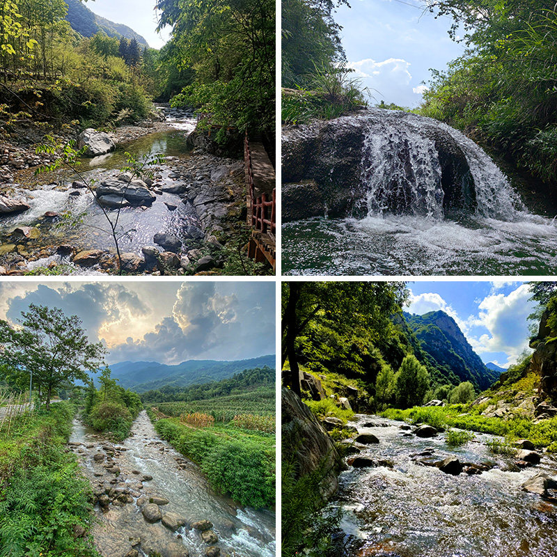 山间森林小溪自然风景直播背景布3d立体背景墙拍视频段子场景布置高