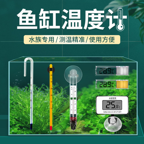 电子led数显高精度水温计