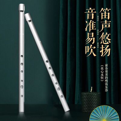NAOMI爱尔兰哨笛C调D调初学儿童专业六孔竖笛高音笛子小学生