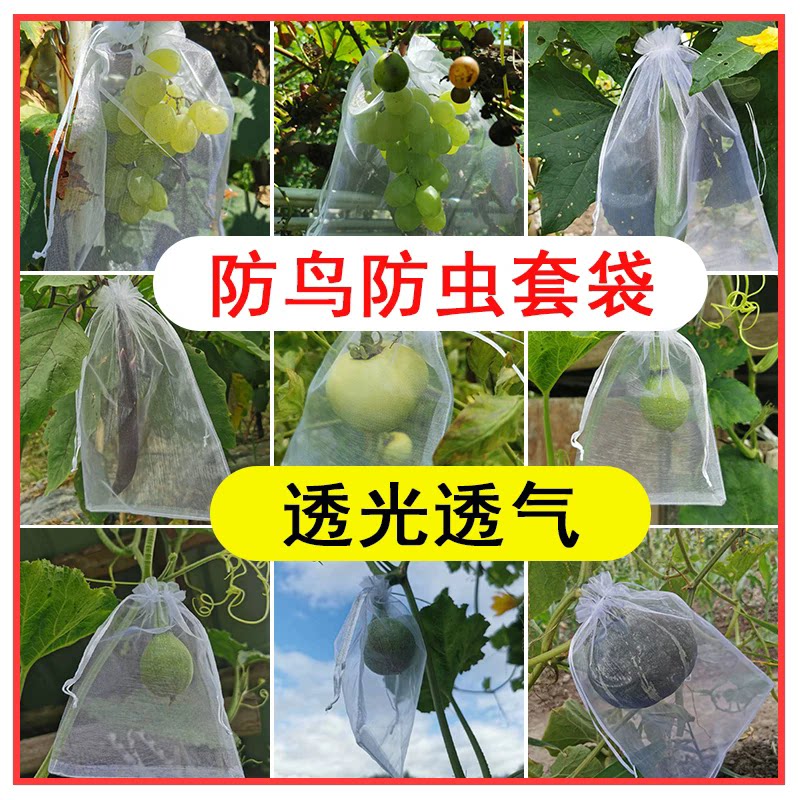 尼龙过滤纱网袋晾干菜晒腊肉火腿防虫网兜水果套袋防鸟茶青种子袋
