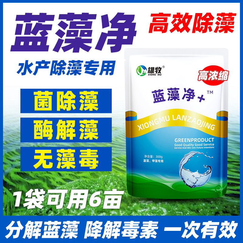除藻剂除蓝藻药除绿水净水