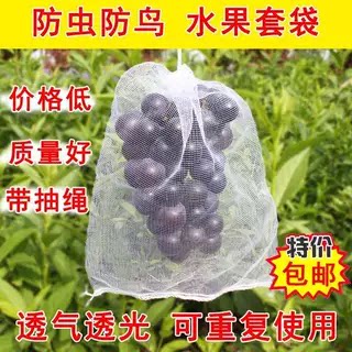 水果套袋防鸟防虫专用网袋西红柿番茄葡萄草莓无花果尼龙套袋保护