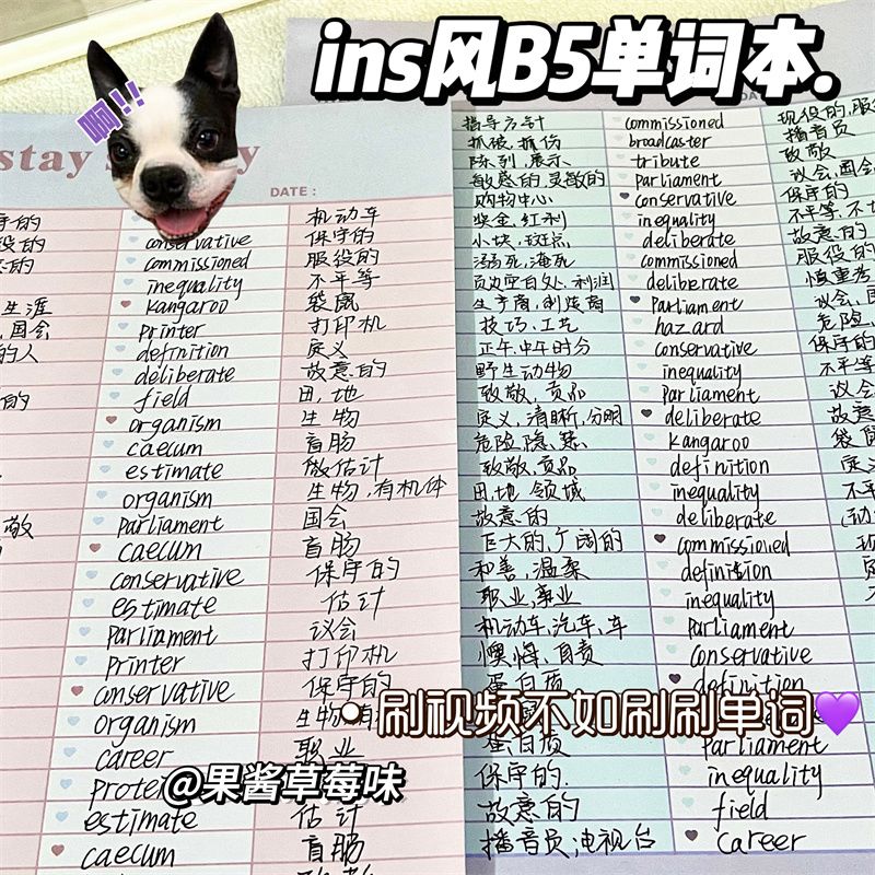 韩系风英语单词本自制手账拍纸本