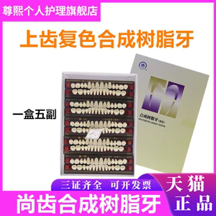 上海合成树脂牙尚齿复色牙口腔牙科材料义齿高耐磨高硬度树脂牙