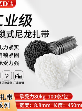 NLZD尼龙扎带自锁式卡扣黑色扎带