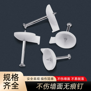 钢图钉圆盘钢钉塑料KT板钉墙纸挂画广告板横幅水泥钉固定神器