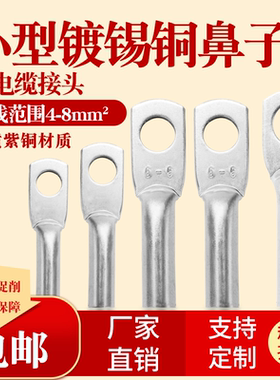 DTG-2.5 4 6平方铜鼻子孔4 6 8镀锡DT铜鼻子接线端子线头线耳紫铜