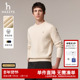 100%绵羊毛 Hazzys哈吉斯秋冬男士 圆领长袖 针织衫 休闲男毛衣潮