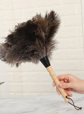 鸡毛掸子除尘家用不掉毛禅子鸵鸟毛掸子可伸缩车用扫灰尘毯子神器