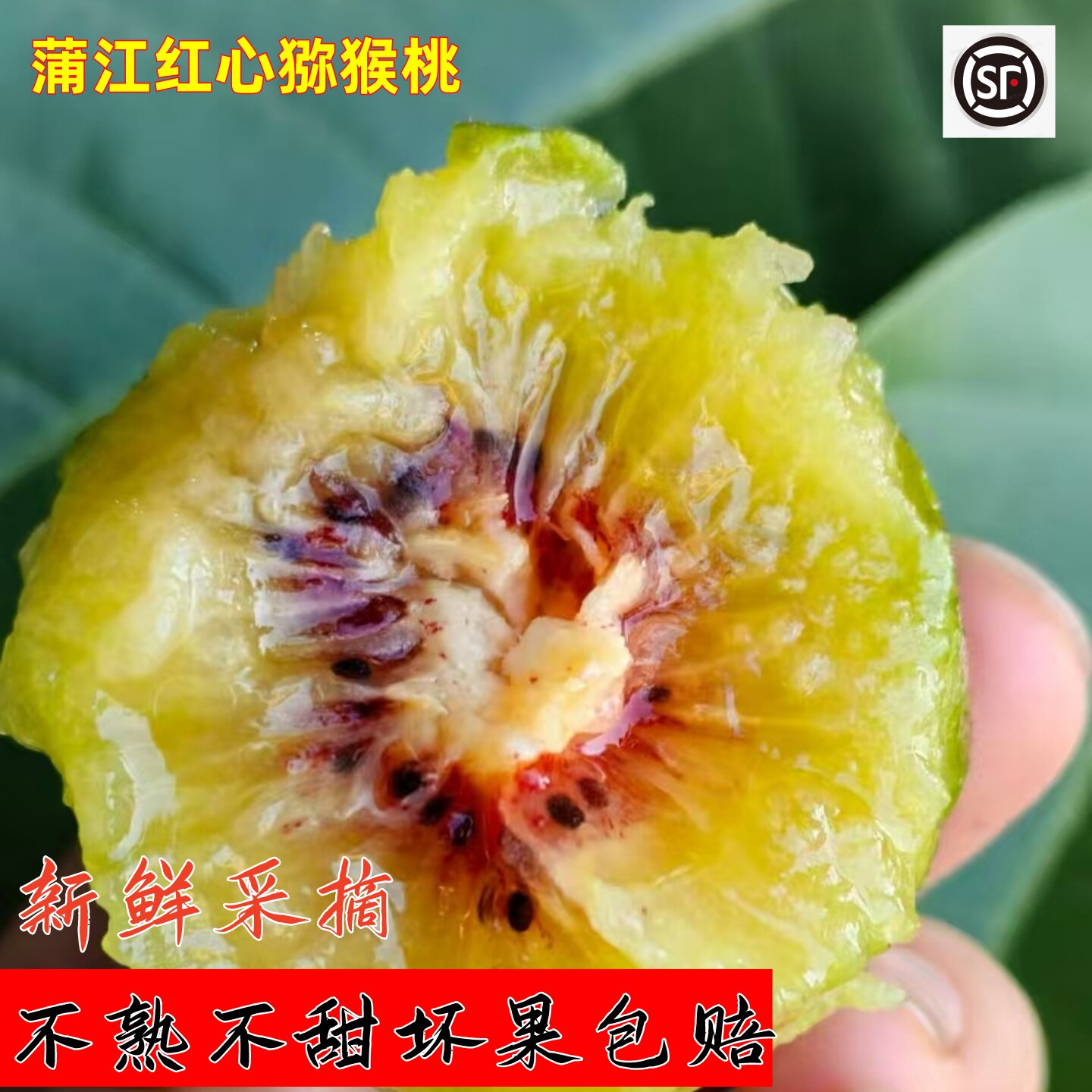 正宗四川蒲江红心猕猴桃大果狝猴奇异果/猕猴桃