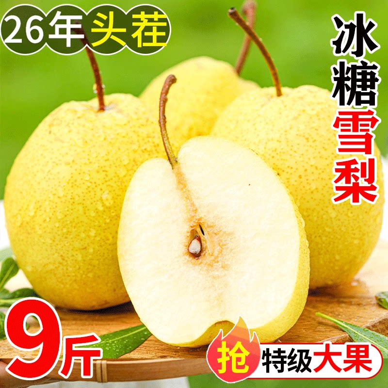 现摘冰糖雪梨9斤梨子新鲜水果应当季整箱包邮特产香酥梨脆雪梨