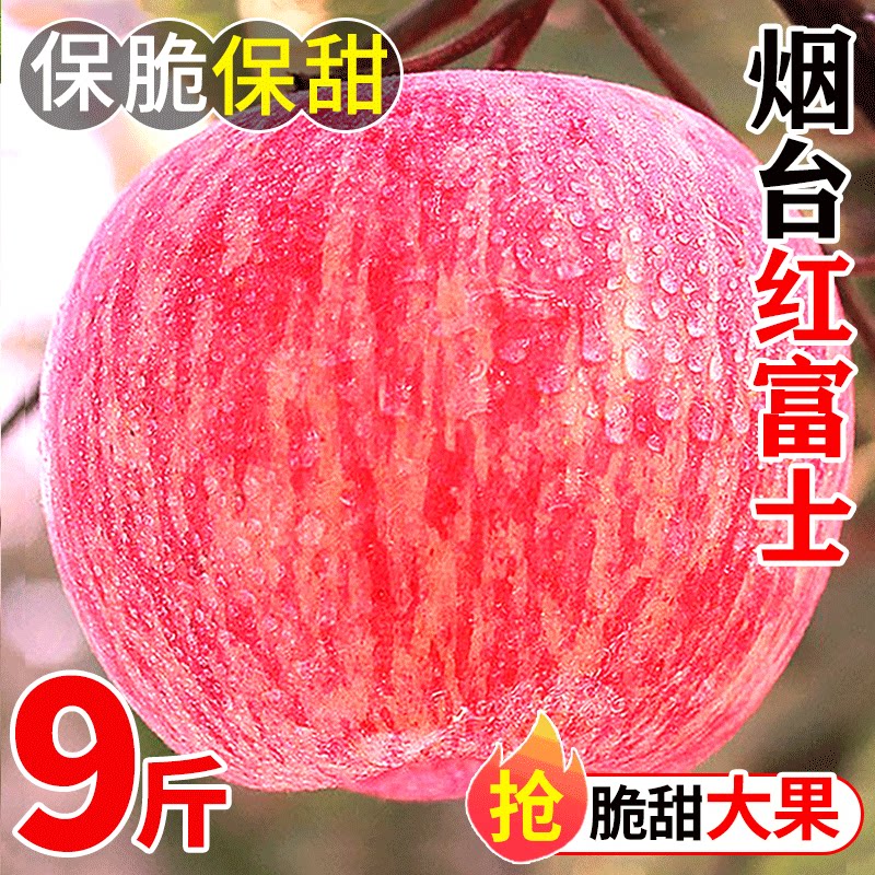 【苹果热销榜】真烟台红富士苹果图片