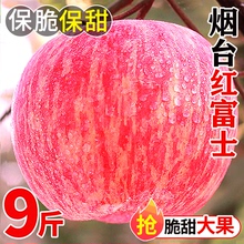 正宗烟台红富士苹果水果新鲜应当季整箱10冰糖心丑萍果青丑斤包邮