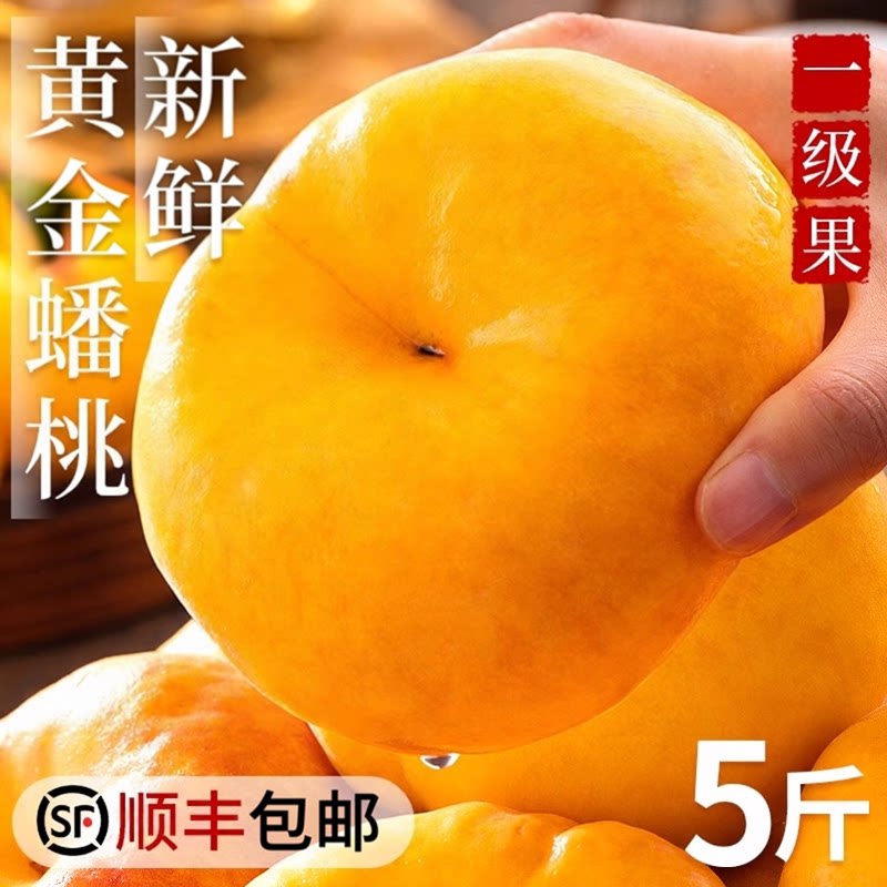 现摘新鲜黄金奶油油蟠桃