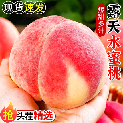 新鲜露天水蜜桃桃子当季现摘水果冬桃软毛桃子脆甜水密桃整箱包邮