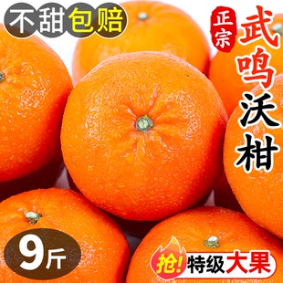 广西武鸣沃柑10水果新鲜当季整箱斤一级沙糖蜜橘柑橘砂糖橘子桔子