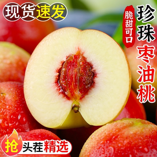 珍珠枣油桃5斤水果新鲜当季整箱枣味小蜜桃应季纯甜脆硬桃子包邮