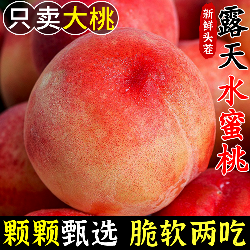 现货！现摘现发，新鲜水蜜桃