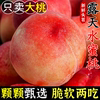 主图