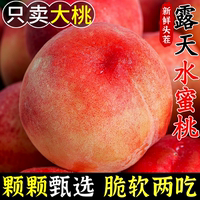 现摘水蜜桃新鲜当季水果整箱脆甜毛桃包邮应季油密软斤时令桃子斤